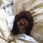 Patricia Archdale Runyon - @patricia.a.runyon - Instagram