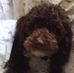 Patricia Archdale Runyon - Facebook