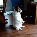 Patricia Rutherford - @patricia.rutherford.7121 - Instagram