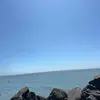 patricia saint - @patricia.saint - TikTok