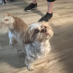 Patricia Scanlon - @patricia.scanlon.96 - Instagram