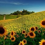 Patricia Schaffner - Facebook
