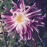 Patricia Schutter - @patricia_schutter - Instagram