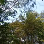 Patricia Serna - Facebook