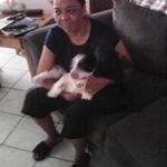 Patricia Sessions - @sessionspatricia - Instagram