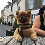 Patricia Settle - @settle3676 - Instagram