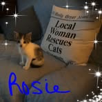 Patricia Shuler - Facebook