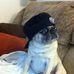 Patricia Simcox - Facebook