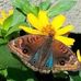 Patricia Simoes - Facebook