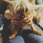 Patricia Slinker - @pattyslinker2 - Instagram