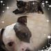 Patricia Snell - Facebook