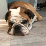 Patricia Snell - @ms.madamblossom - Instagram