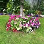 Patricia Snelling - Facebook
