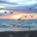 Trish Soderquist - Facebook