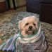 Patricia Stagg - Facebook