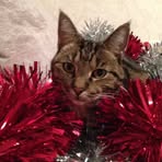 Patricia Stamp - Facebook