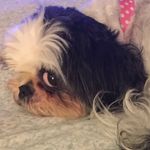 SunShine - @patriciastampley - Instagram