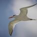 Patricia Stehr - Facebook