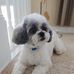 Patricia Stelzer - Facebook