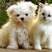 Patricia St John - Facebook