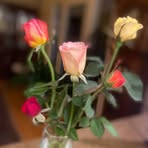 Patricia Strader - Facebook