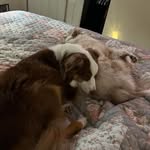 Patricia Grosskopf Strickling - @patriciagrosskopfstrickling - Instagram