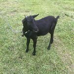 Keoki spam - @patriciagetsstuck - Instagram