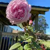 Patricia Stuckey - @patriciastuckey66 - TikTok