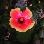 Patricia Tager - @seussers - Instagram