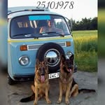 Patricia&Thomas - @_vw_t2_t3_ - Instagram