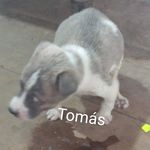 Patricia Toala Correa - @patricia_toala3 - Instagram