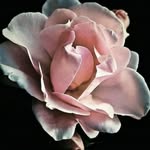 Patricia Falistocco - @patricia.falistocco - Instagram