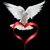 Patricia Tocco - @patricia.tocco - TikTok
