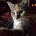 Patricia Treaster - Facebook