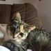 Patricia Treaster - Facebook