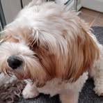 Patricia Tyrrell - Facebook