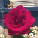 Patricia Bolender Utter - @patricia_bolender_utter - Instagram