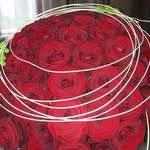 Patricia Sutter - @patricia_sutter_sour - Instagram