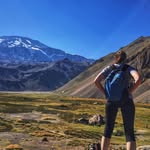 Patricia Utterback - @patriciautterback - Instagram