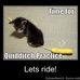 Patricia Van Meter - Facebook