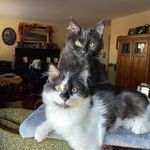 Patricia M Veatch - @patriciamveatch - Instagram