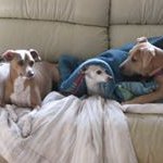 Patricia Wadatz - @patriciawadatz - Instagram