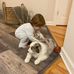 Patricia Walling - Facebook