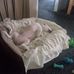 Patricia Walling - Facebook