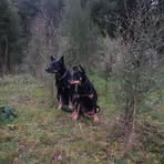 Patricia Wallis - Facebook