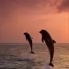 patriciawalp - @patriciawalp - TikTok