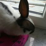 Patricia Weide - @weidepatricia - Instagram