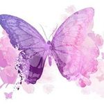 Patricia Westervelt - @butterflysparklez - Instagram