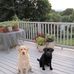 Patricia Wetherill - Facebook