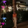 Patricia V D Weyer - @patricia.v.d.weye - TikTok
